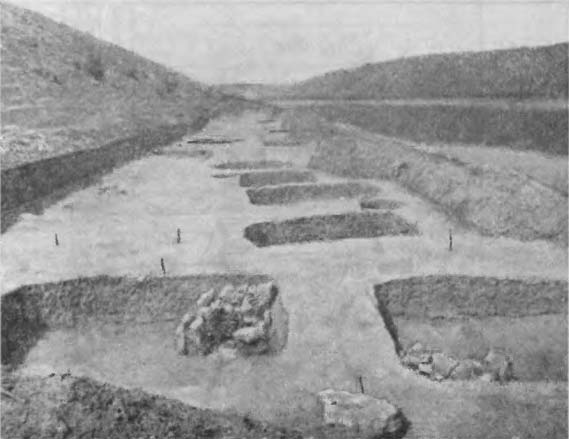 Рис. 1 Один из участков раскопок поселения Рашков III