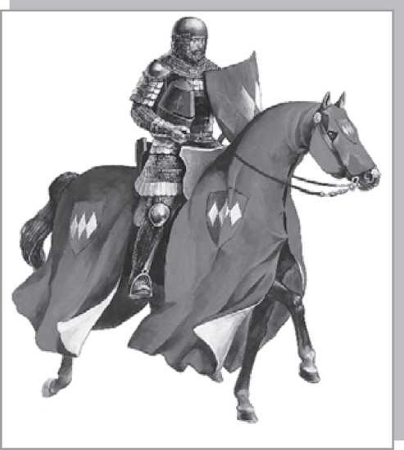 Рыцарь 14 века. Французский конный рыцарь 14 века. Французские Рыцари 13 век. Рыцари Франции 14 век. Германия рыцарь 14 век.
