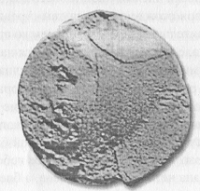 Рис. 84. Голова понтийского царя (Митридата V?) как Персея в кирбасии на анонимной монете Понта