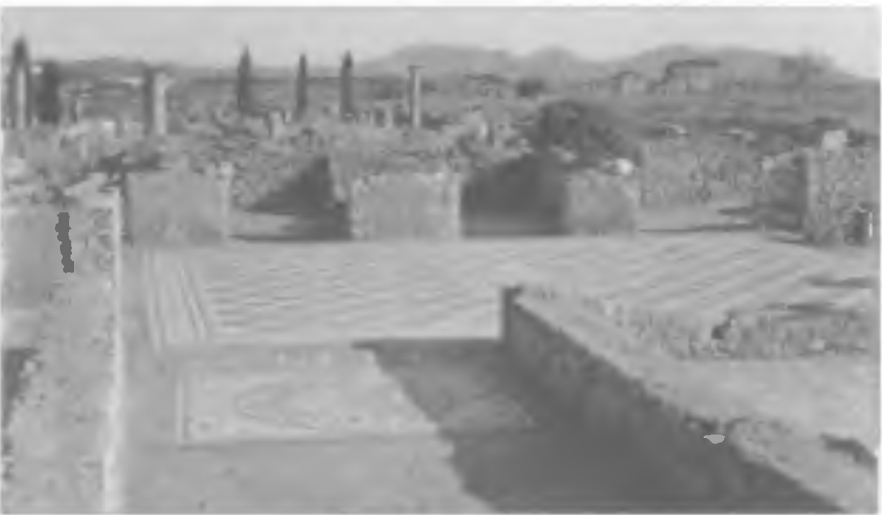 Рис. 24. Римский дом в Ампуриасе (Эмпорион). Позади справа форум