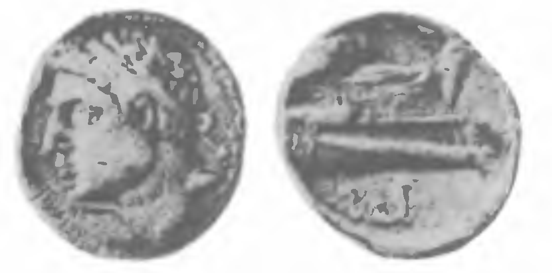 Рис. 8. Монета с портретом Гасдрубала. Аверс и реверс