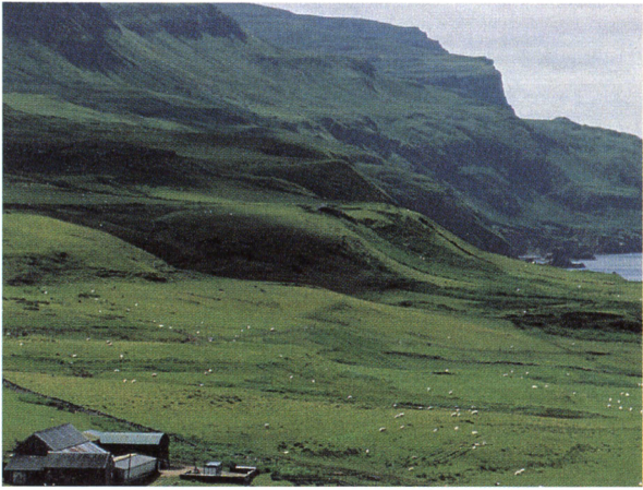 Типичный пейзаж Гебридских островов, расположенных у звпадных берегов Шотландии. То, что не удалось сделатъ римлянам, удалось скандинавам в VIIIв. Норвежцы управляли ими до 1266 г., когда они стали независимыми.