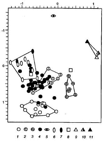 Рис.II-16. График канонического анализа данных М.В.Витова по северной зоне Восточной Европы